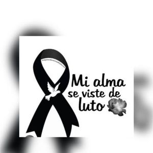 Meet your Posher, Elsa